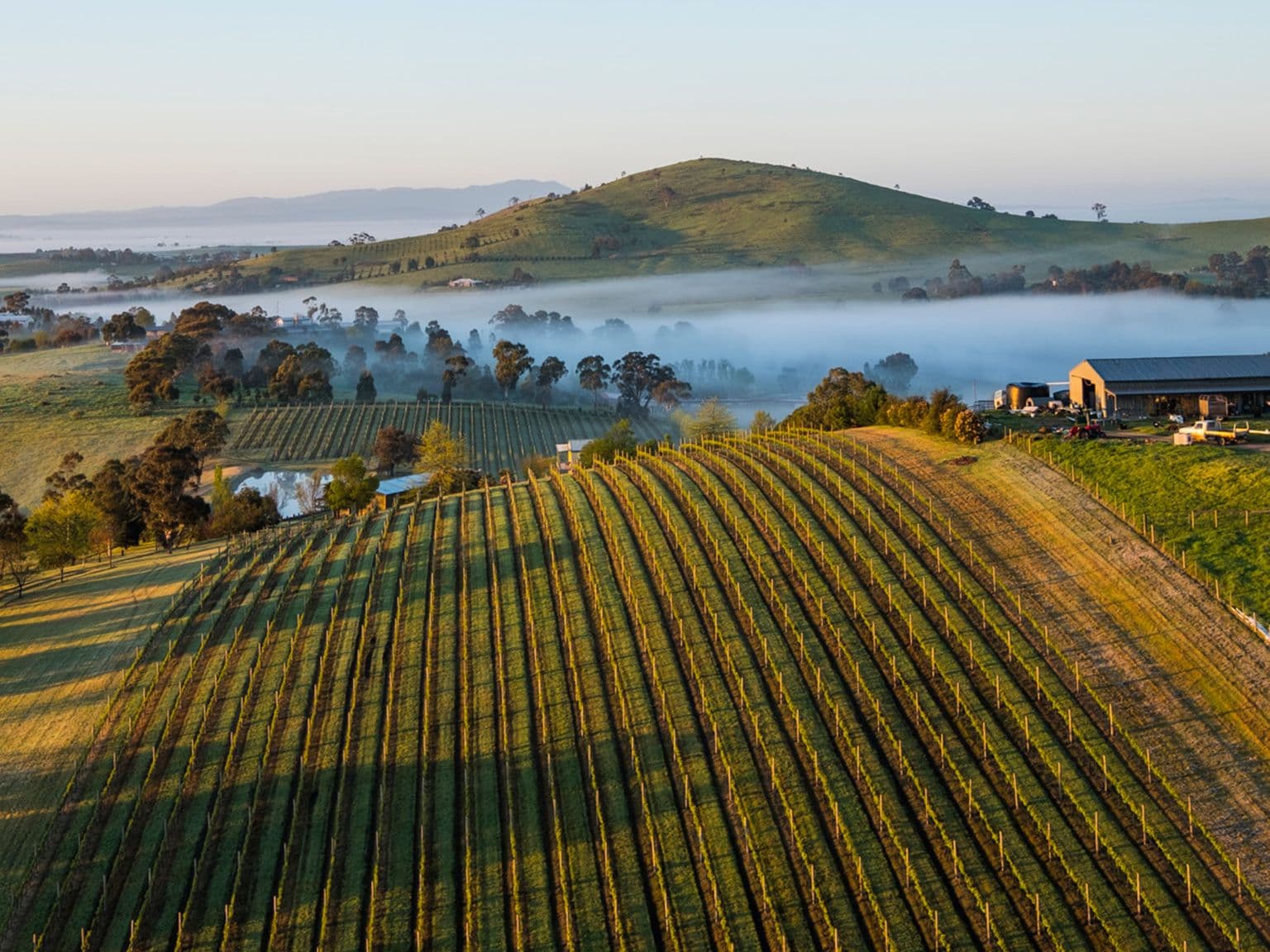 How Wine Victoria is showcasing its wines & producers around the world