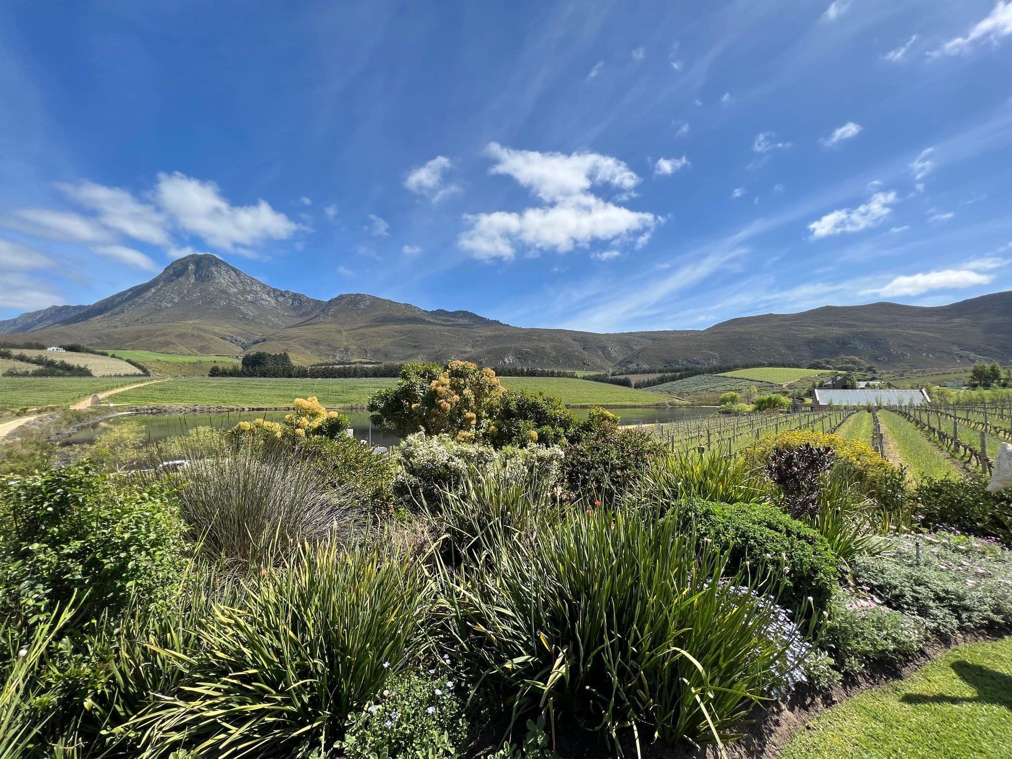 Buyers should treat South Africa differently from other countries