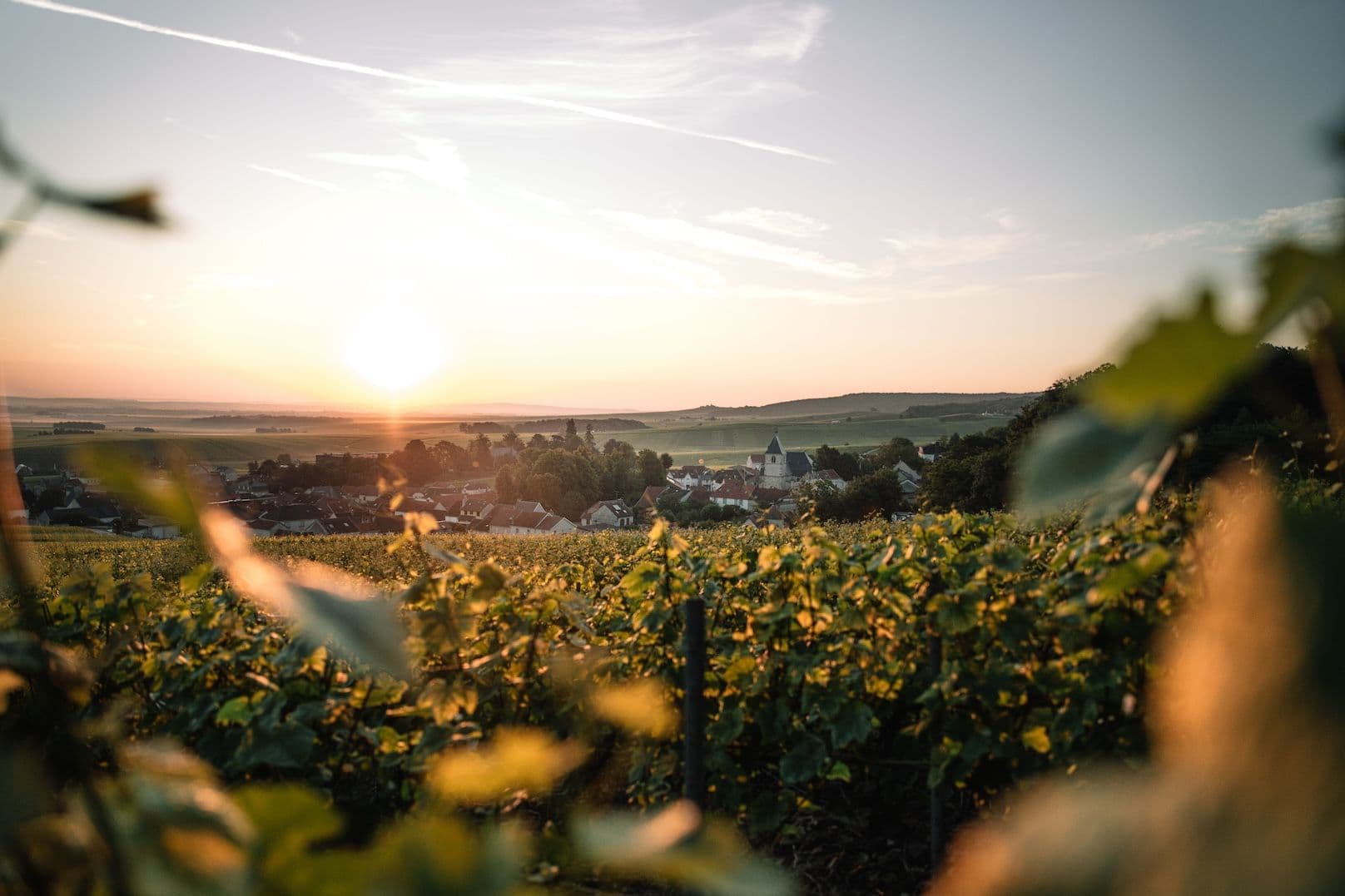 Victor Smart: Canard-Duchêne unveils the fruits of its ‘second birth’