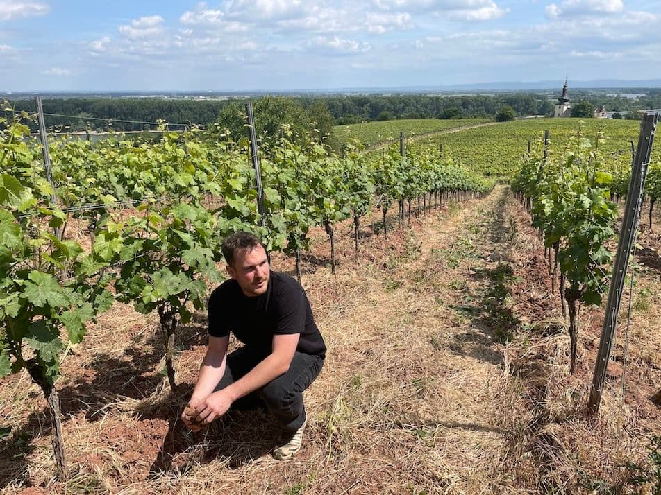 How young German winemakers are facing up to current challenges
