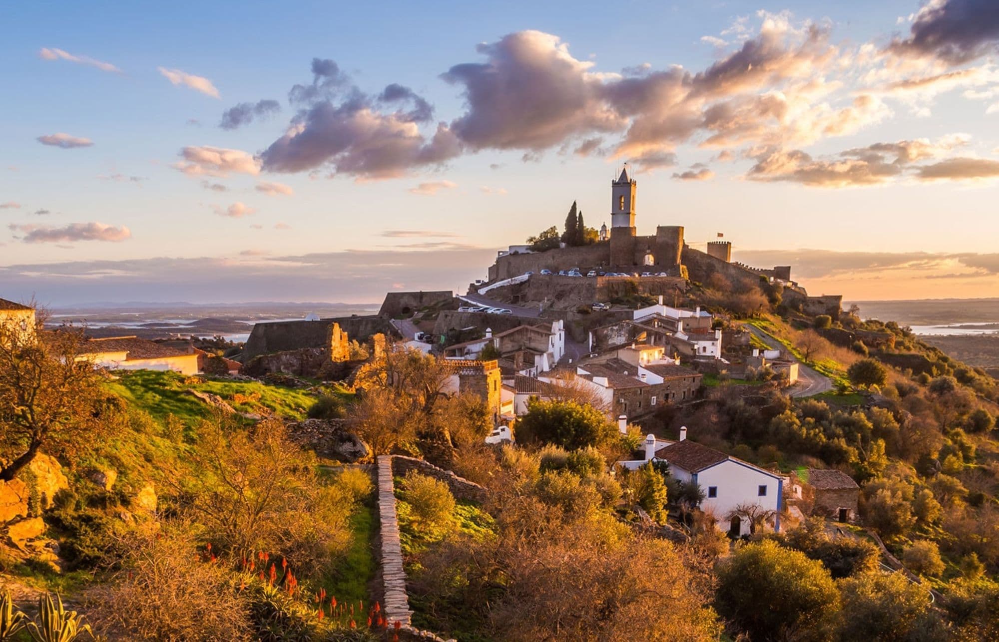 How best still Portuguese wines are continuing to rise to the top