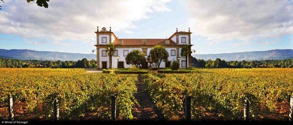 Chris Wilson unearths some Vinhos Verdes gems at London Wine Fair