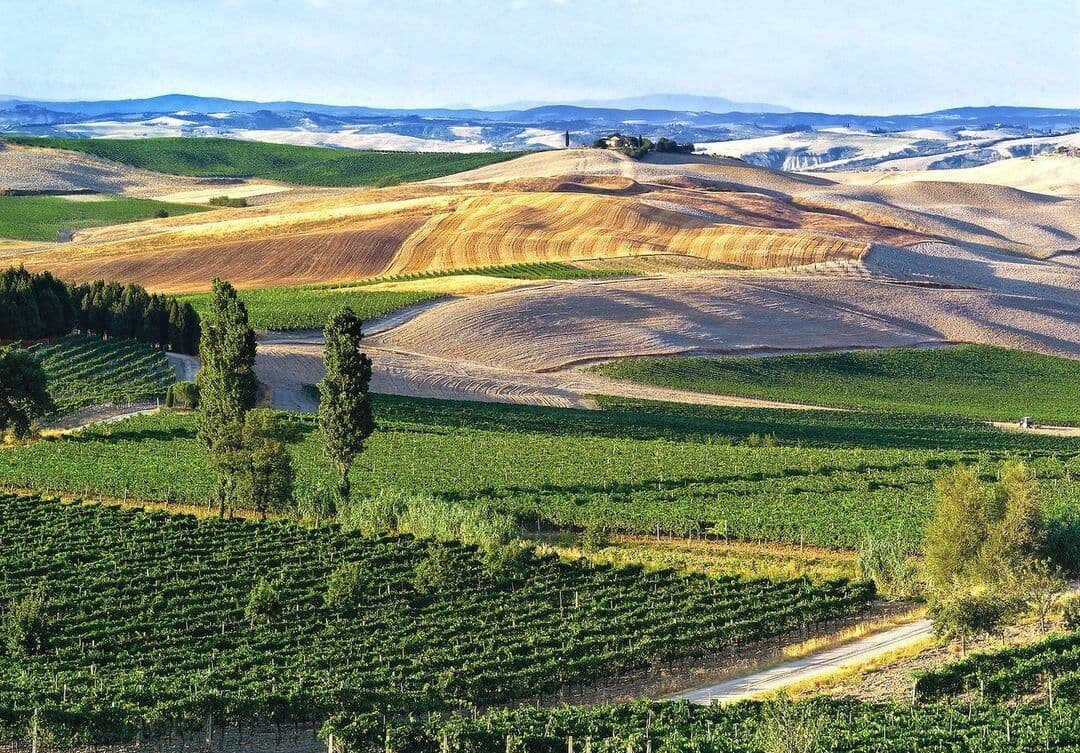 Top 12 wines from 1st Brunello di Montalcino 2018 en primeurs