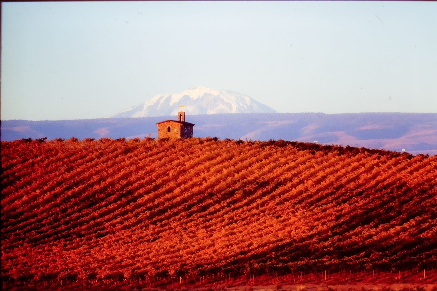 Geoffrey Dean takes a deep dive into the wines of Washington State