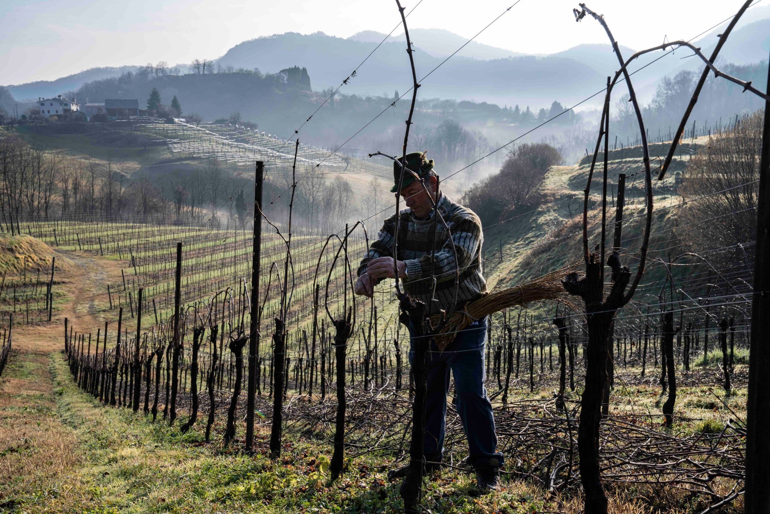 De Pasquale on what make Asolo Prosecco Superiore DOCG unique