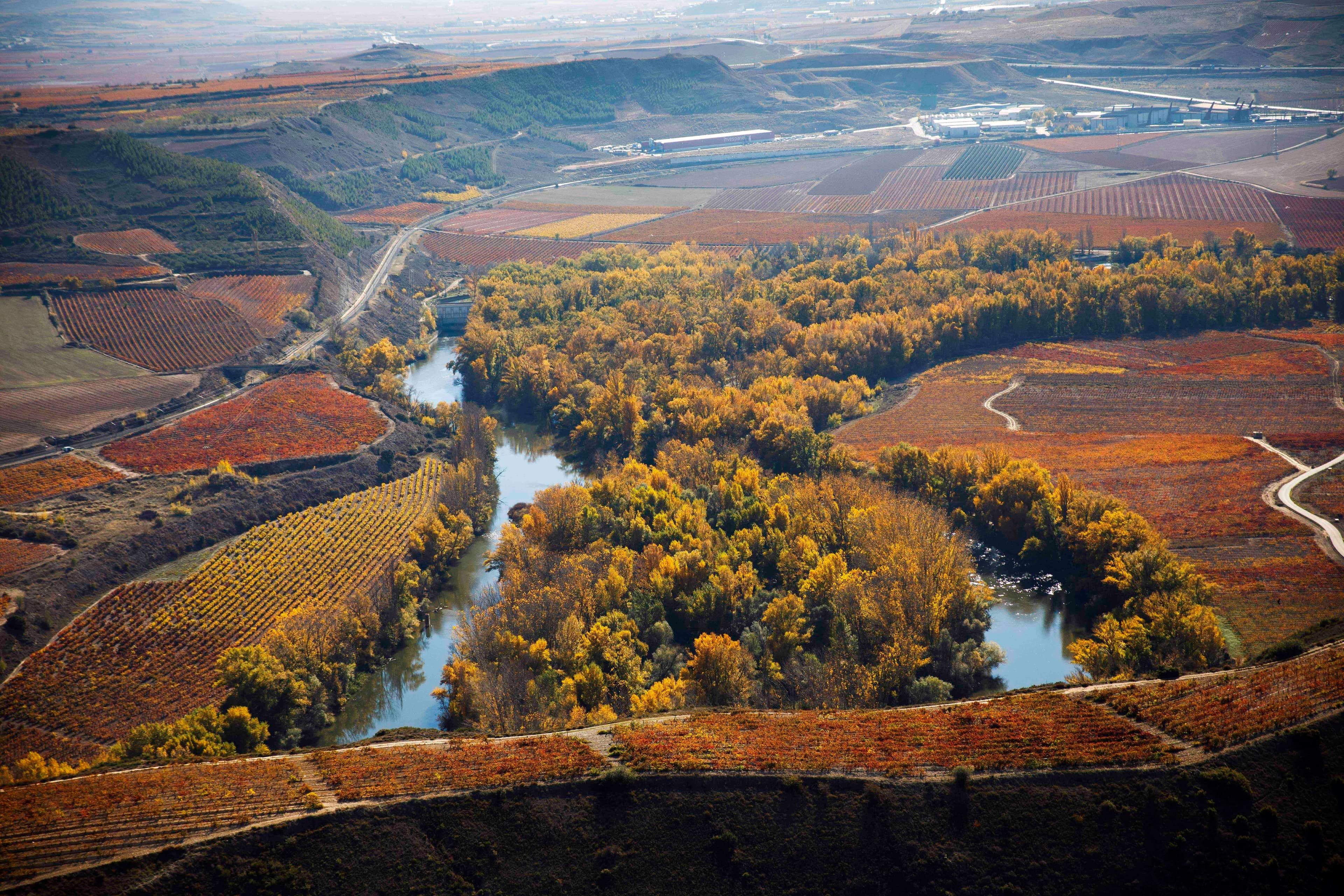 Rioja Somm'er School: All you need to know about Rioja Alta