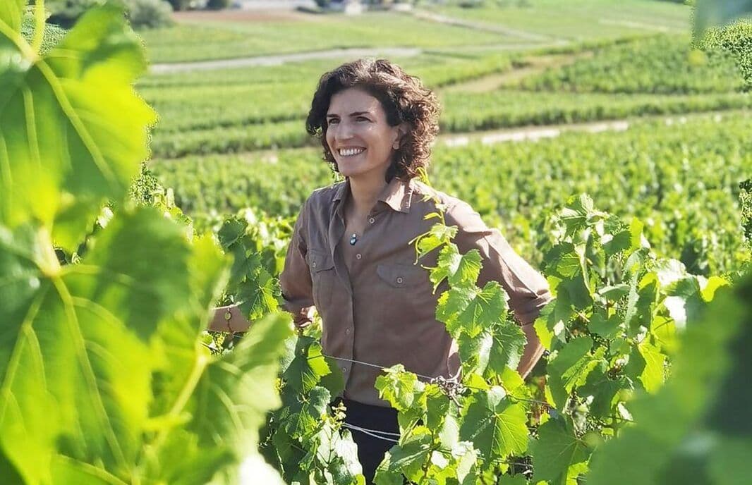 Why the new Bruno Paillard Blanc de Blancs 2012 is a class act