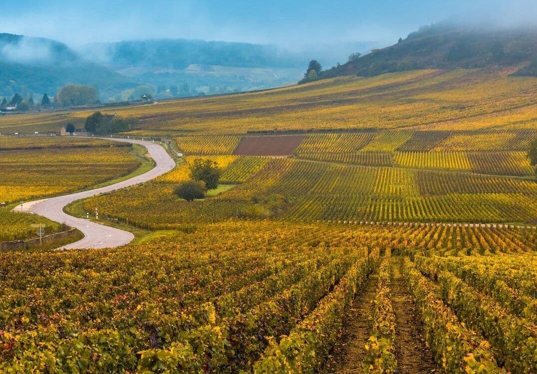Get ready for Burgundy 2019: Corney & Barrow’s Guy Seddon