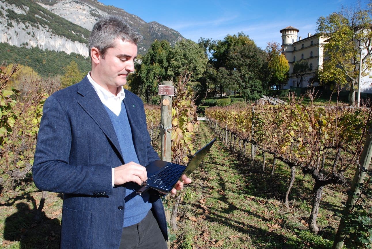 Rewind: How Cavit transforms winemaking with an app