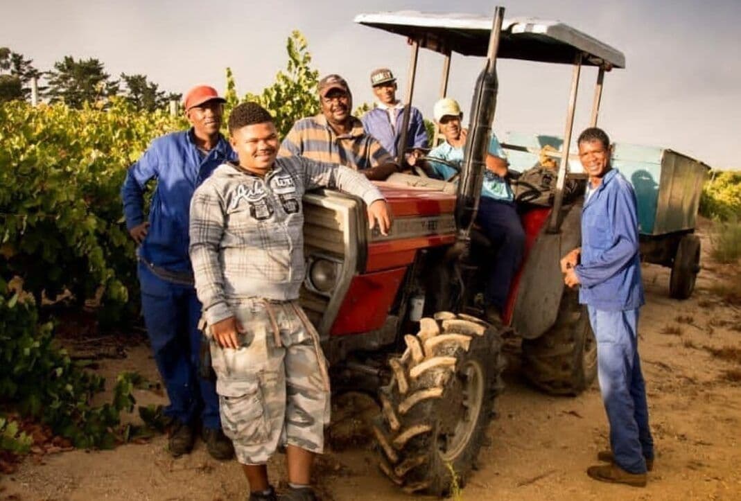 South Africa’s Cabernet Collective sets out its mission