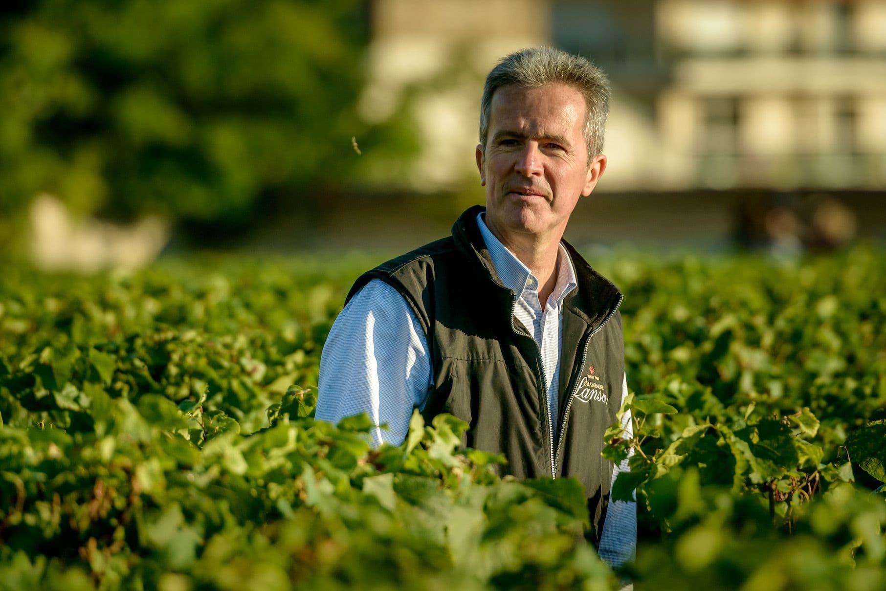 Lanson plays the long game with Noble Brut Vintage 2004