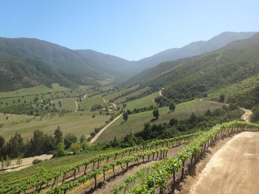 Chile’s Vina Ventisquero: tasting its premium range