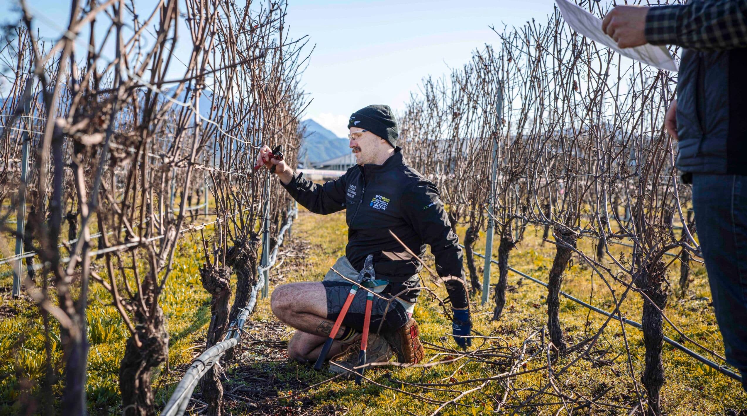 How New Zealand takes the lead with career & fulfilment initiatives