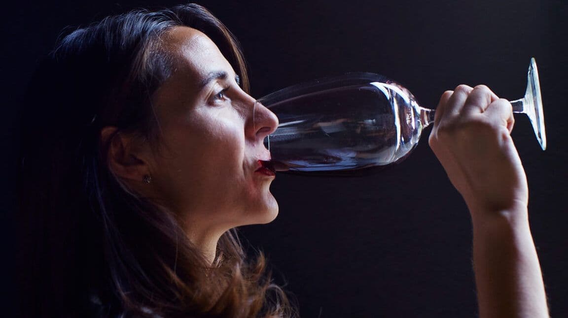 Discovering South American diversity through Condor Wines