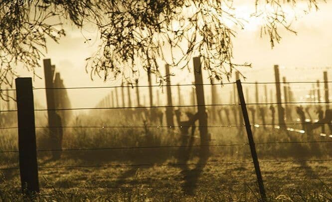 How Yarra Valley Chardonnay has found a better sense of balance