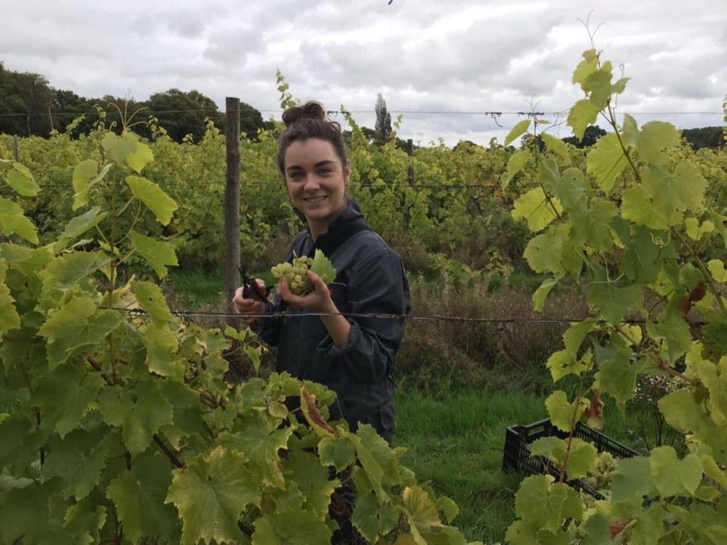 Lucy Chilvers on her life changing Plumpton College opportunity