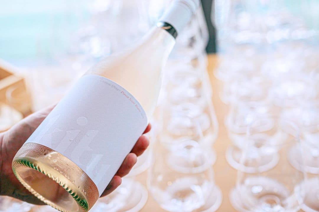 Akitu turns ‘a whiter shade of Pinot’ with new Pinot Noir Blanc