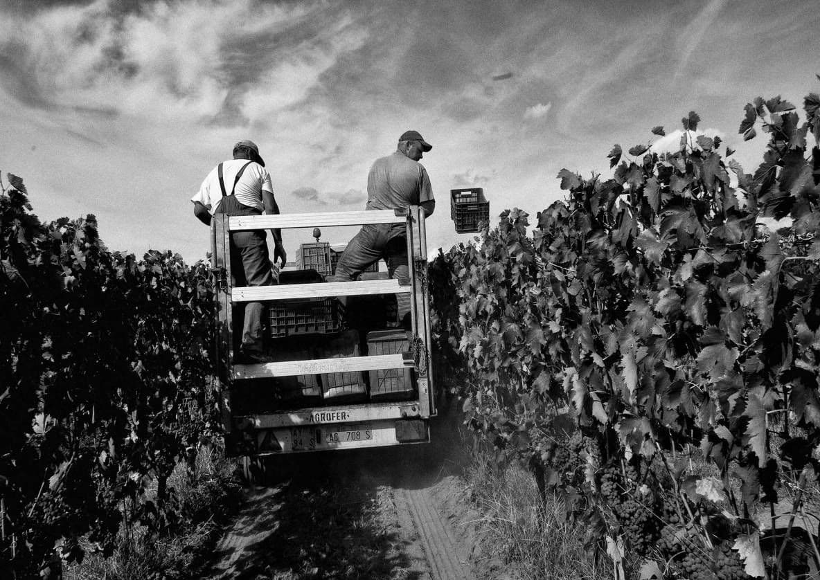 New strategy helps drive Armit’s Italian wines into the on-trade