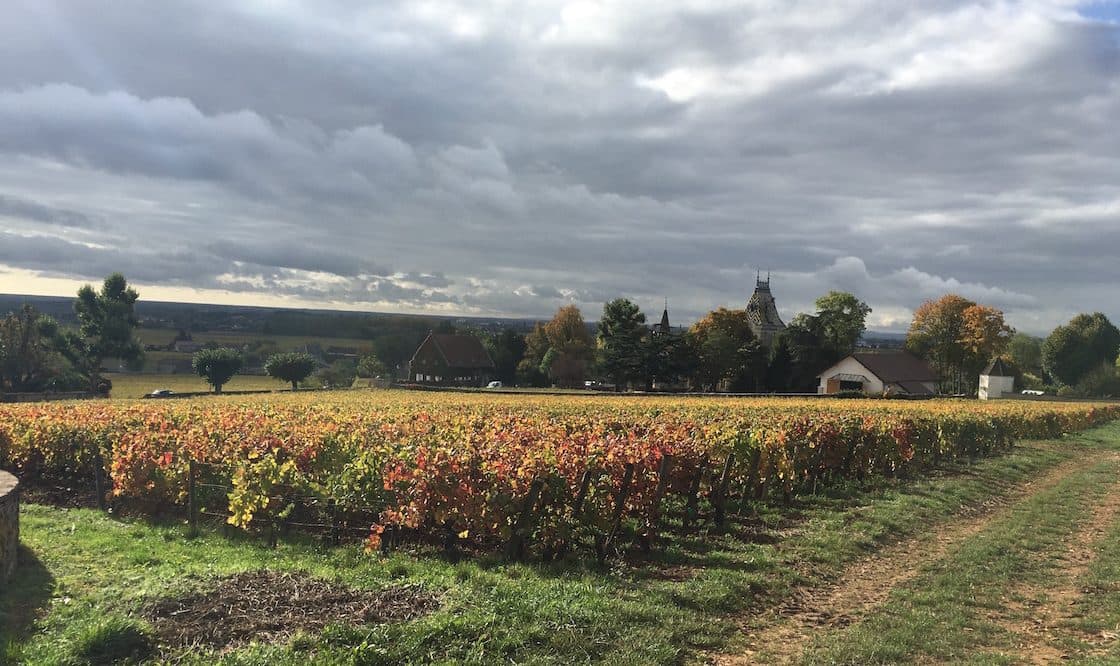 Corney & Barrow on Burgundy 2016: salvaged from near disaster