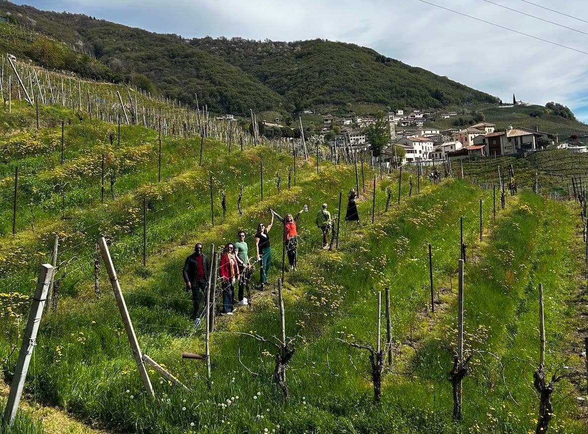 Is the ‘sleeping giant’ of premium DOCG Prosecco waking up?