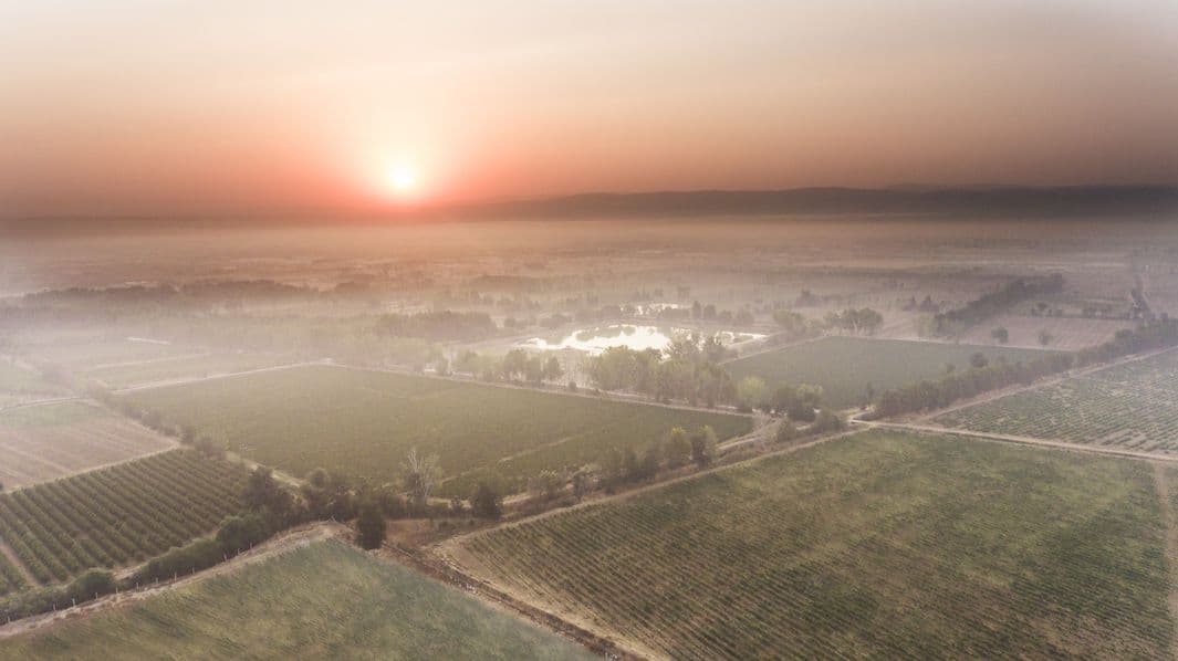 How Château Ksara is putting Bekaa Valley back on the map