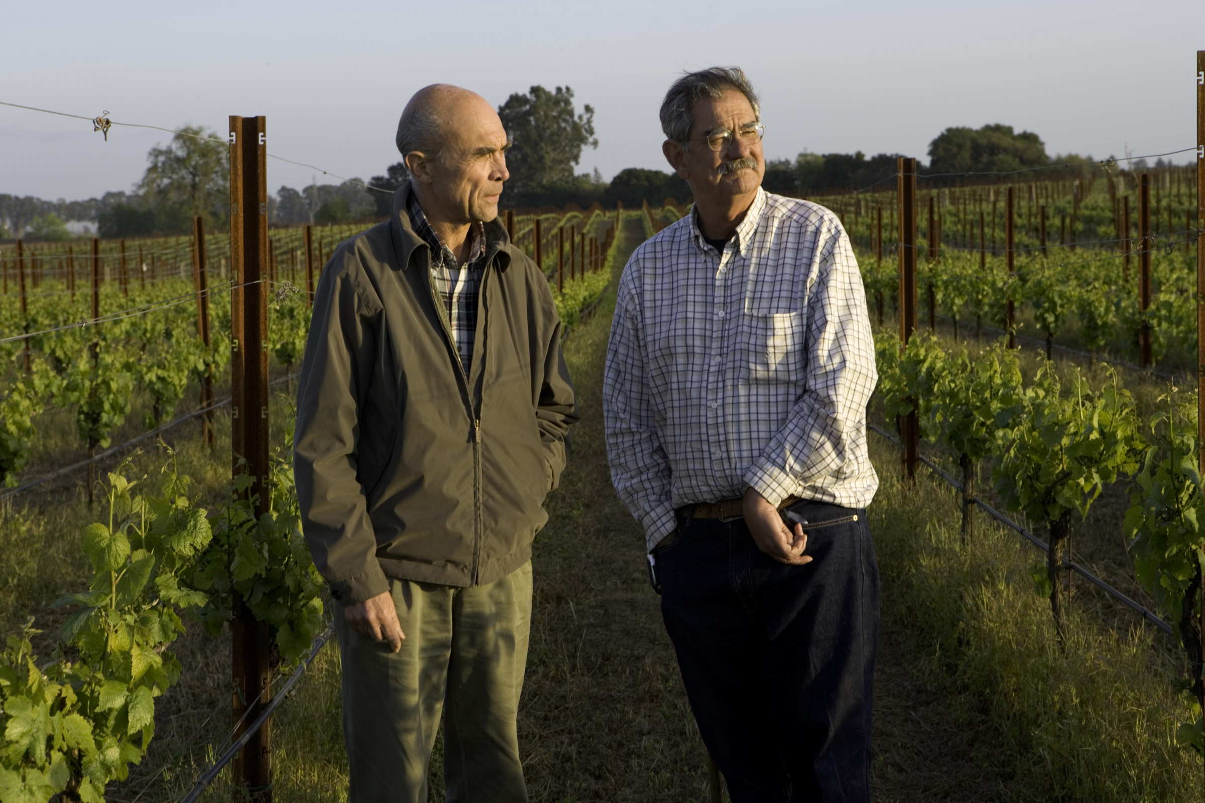 Hyde de Villaine: why the Napa winery will never be “DRC West”