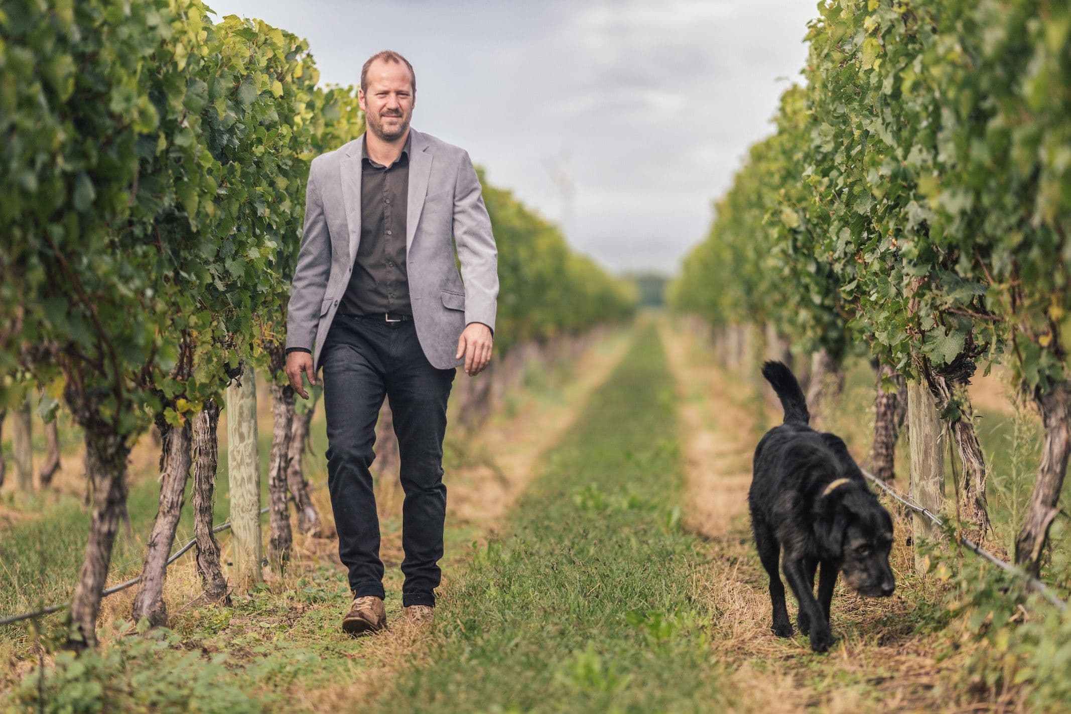 Anne Krebiehl MW: Four new standout wines from Villa Maria