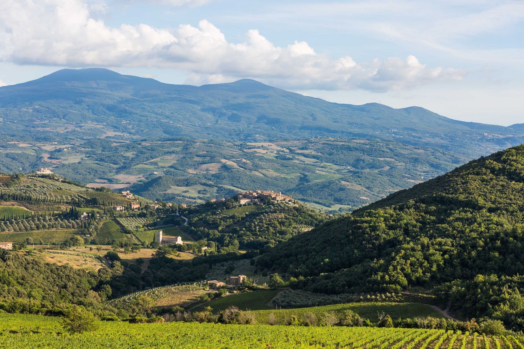 Walter Speller on ‘En Primeur’ launch of Brunello di Montalcino