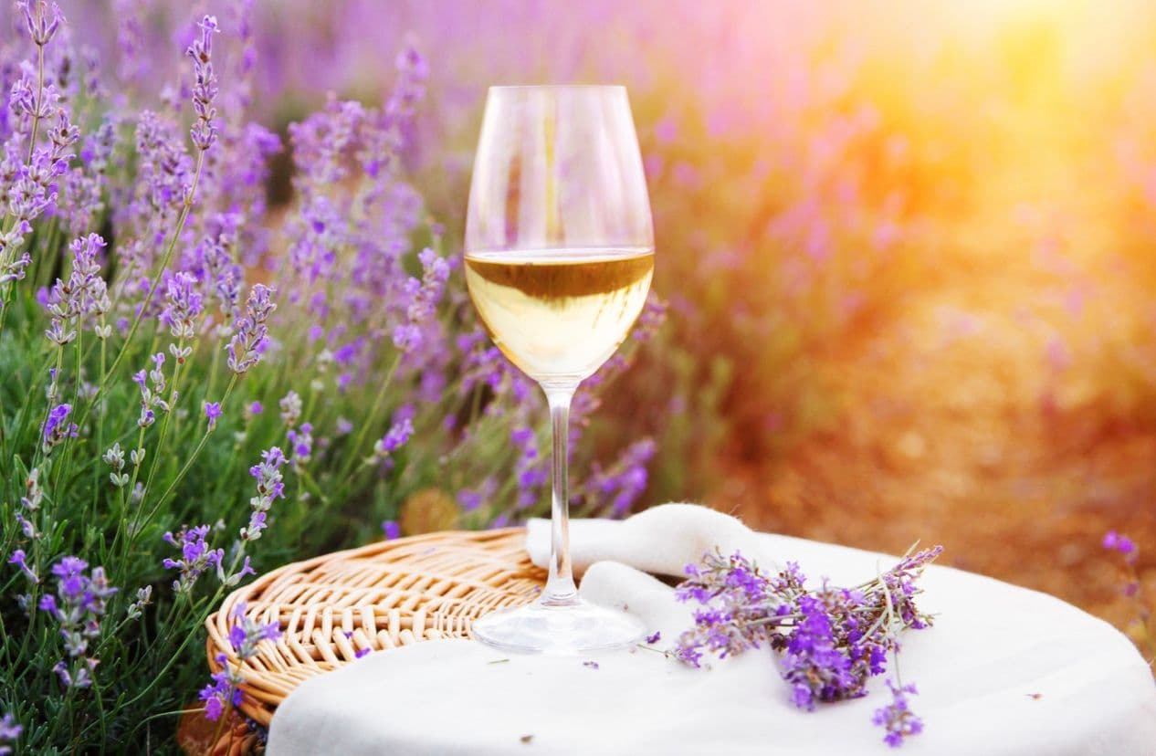 Justin Keay: Why does rosé from Provence always top the charts?