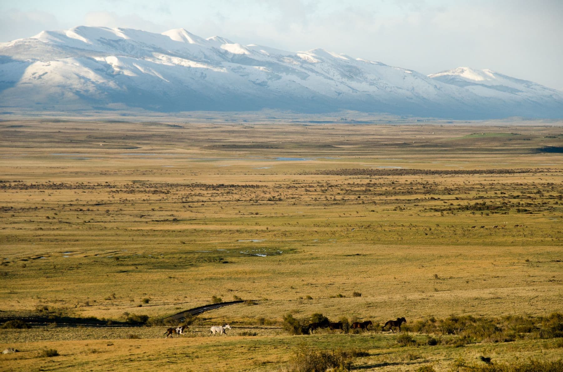 The Buyer trip: Putting Patagonia on Argentina’s wine map