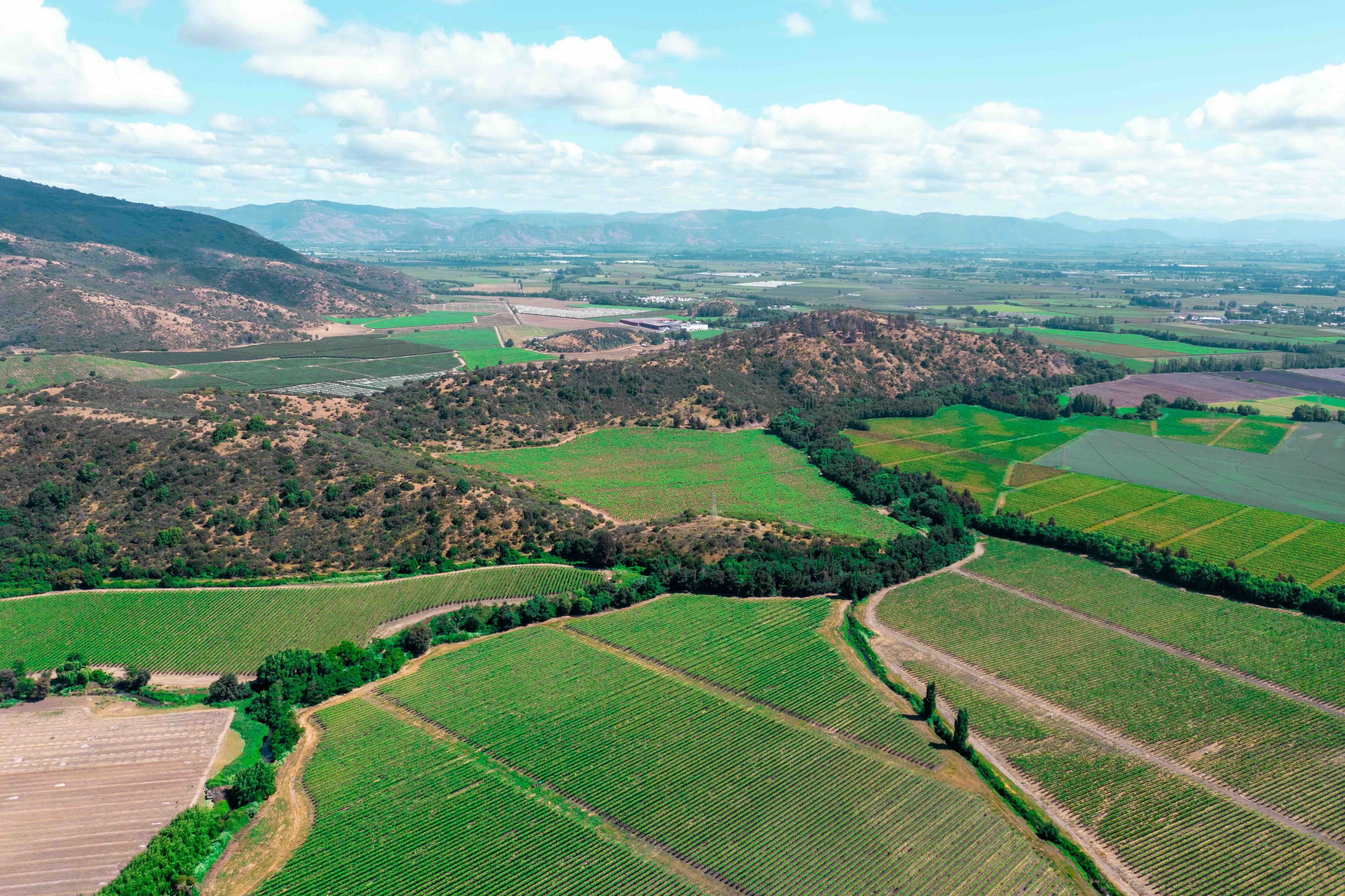 How embedding sustainability in its business strategy is key for VSPT